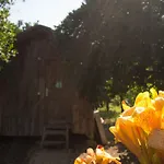 Saban Tree Kompleks wypoczynkowy Kumluca