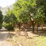 Saban Tree Kompleks wypoczynkowy Kumluca