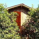 Saban Tree Kumluca