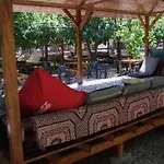 Saban Tree Kumluca