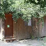 Saban Tree Kumluca