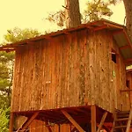 Saban Tree Kompleks wypoczynkowy Kumluca