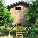 Saban Tree Kompleks wypoczynkowy
