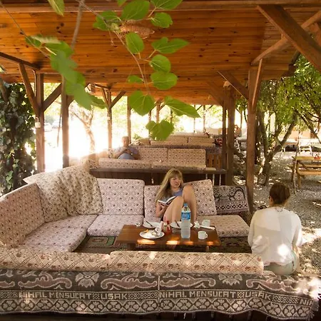 Saban Tree Semesterpark 3*
