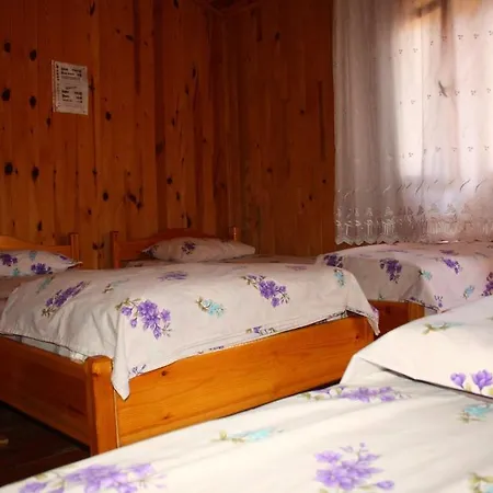 Saban Tree 3* Kumluca