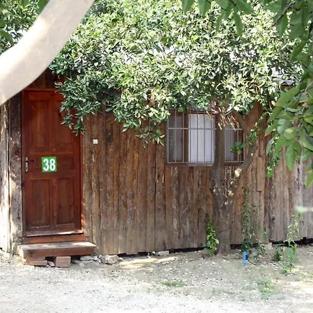 Saban Tree Üdülőpark