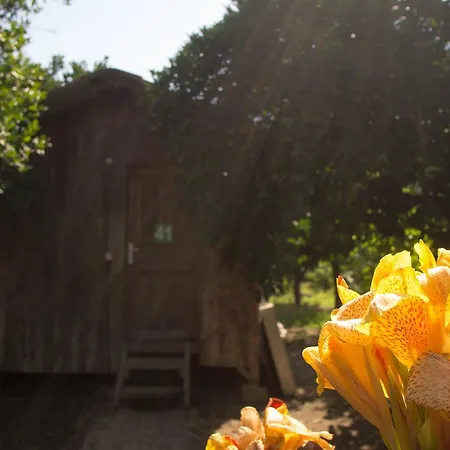 Saban Tree Üdülőpark Kumluca