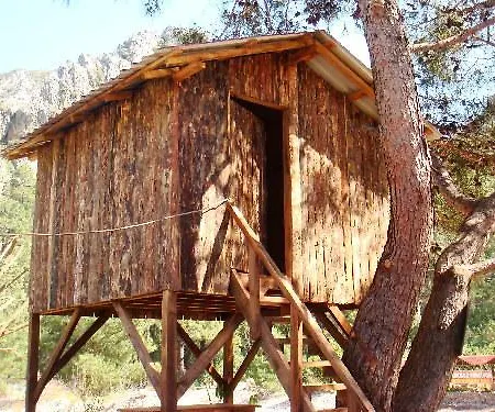 Üdülőpark Saban Tree 3*