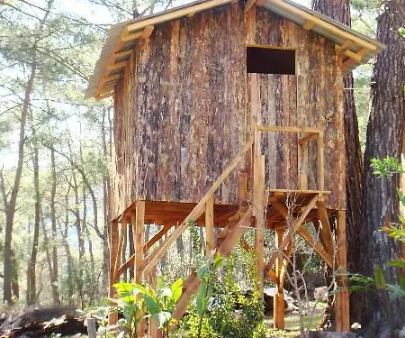 Üdülőpark Saban Tree 3*