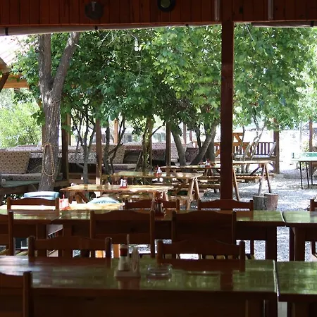 Üdülőpark Saban Tree