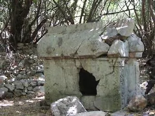 Üdülőpark Saban Tree