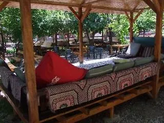 Saban Tree Kumluca