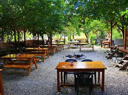 Üdülőpark Saban Tree 3*