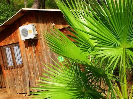 Saban Tree 3* Kumluca