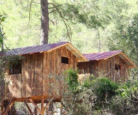 Üdülőpark Saban Tree Kumluca