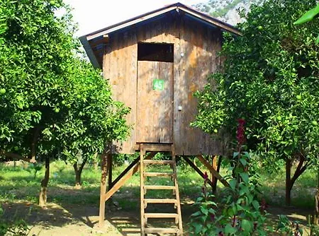 Saban Tree Üdülőpark