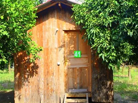 Üdülőpark Saban Tree