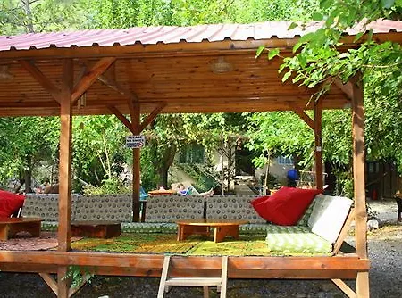 Üdülőpark Saban Tree 3*