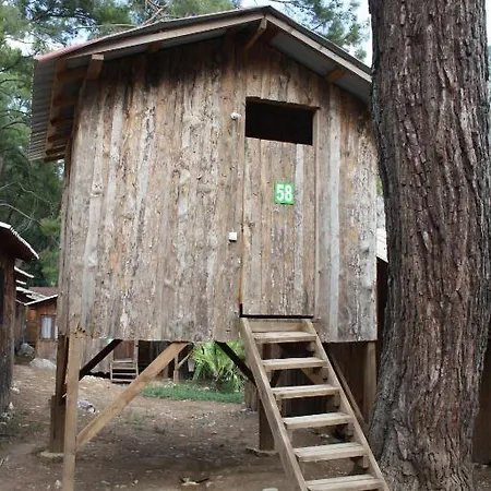 Saban Tree Holiday park 3*