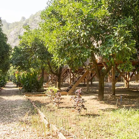 Saban Tree Holiday park Kumluca