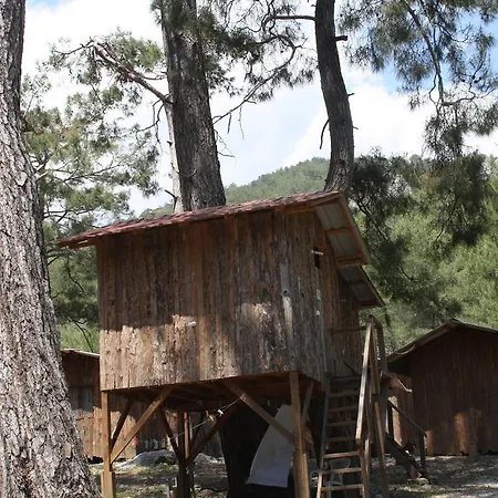 Holiday park Saban Tree Kumluca