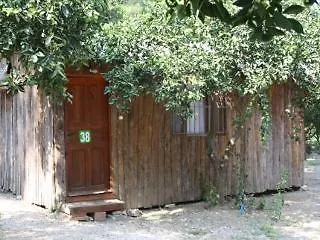 Saban Tree Kumluca