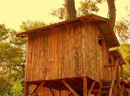 Saban Tree Holiday park Kumluca