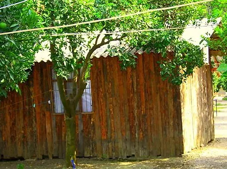 Saban Tree Holiday park Kumluca